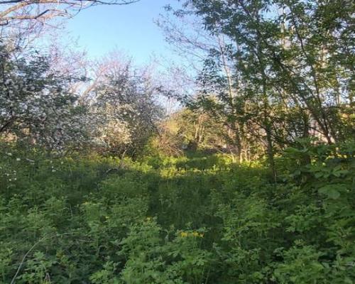 Działka zagrodowa w Turce.