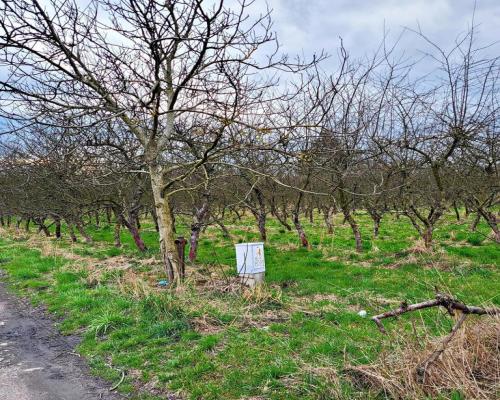 Inwestycyjna działka budowlana w Motyczu