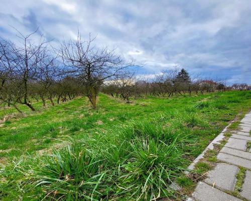 Inwestycyjna działka budowlana w Motyczu