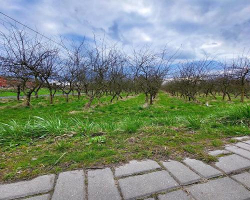 Inwestycyjna działka budowlana w Motyczu