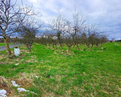 Inwestycyjna działka budowlana w Motyczu