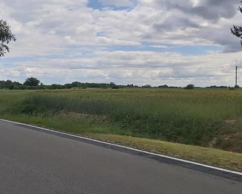 Piękna działka budowlana w Starościnie!!!