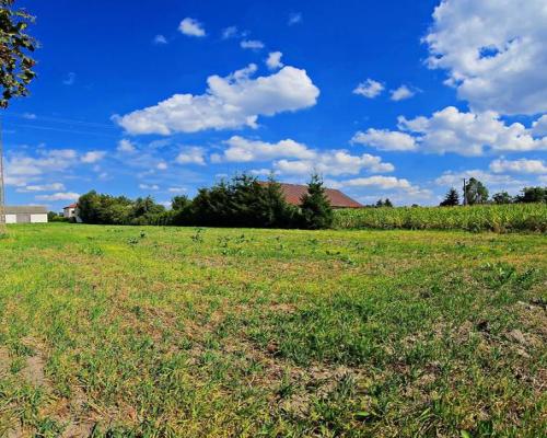 Piękna, ustawna działka blisko jeziora - Dratów