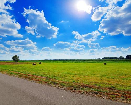 Piękna, ustawna działka blisko jeziora - Dratów