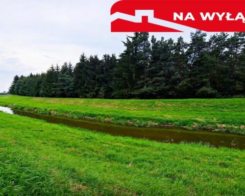 Łąki przy kanale - częściowo pod wydobycie torfu!!