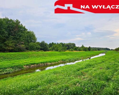 Łąki przy kanale - częściowo pod wydobycie torfu!!