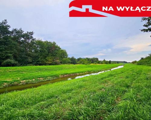 Łąki przy kanale - częściowo pod wydobycie torfu!!