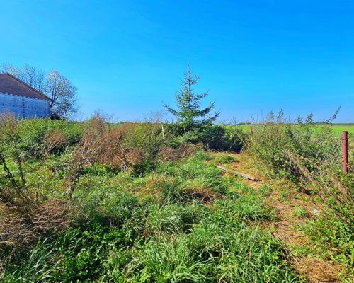 Działka blisko Nałęczowa z rozpoczętą budową domu!