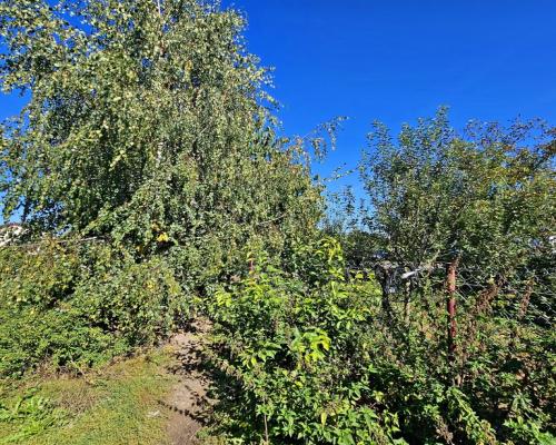 Działka blisko Nałęczowa z rozpoczętą budową domu!