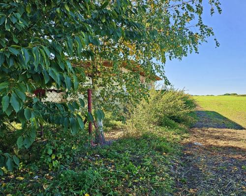 Działka blisko Nałęczowa z rozpoczętą budową domu!