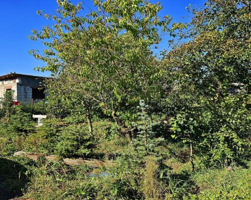 Działka blisko Nałęczowa z rozpoczętą budową domu!