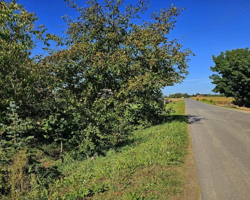 Działka blisko Nałęczowa z rozpoczętą budową domu!