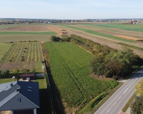 Działka budowlana Krasnystaw ul. Kościuszki 42,8ar