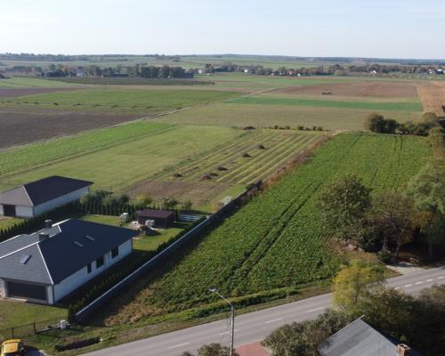 Działka budowlana Krasnystaw ul. Kościuszki 42,8ar