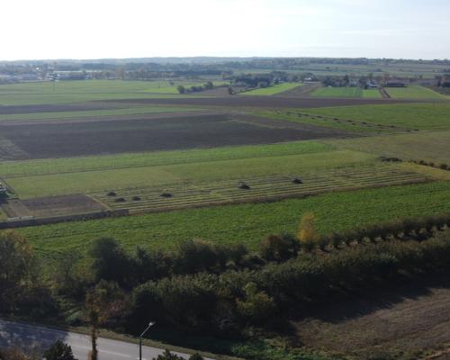 Działka budowlana Krasnystaw ul. Kościuszki 42,8ar