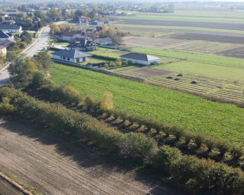 Działka budowlana Krasnystaw ul. Kościuszki 42,8ar