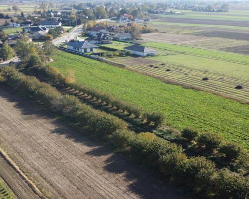 Działka budowlana Krasnystaw ul. Kościuszki 42,8ar