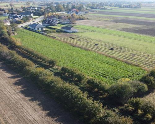 Działka budowlana Krasnystaw ul. Kościuszki 42,8ar