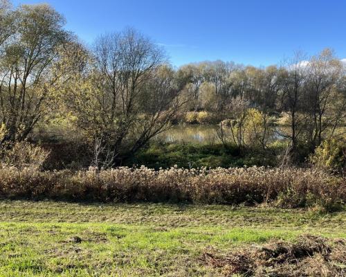 Dom drewniany do remontu na działce w Zakrzowie.