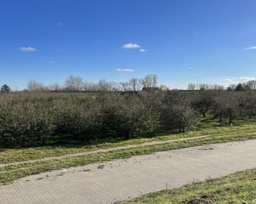 Dom drewniany do remontu na działce w Zakrzowie.