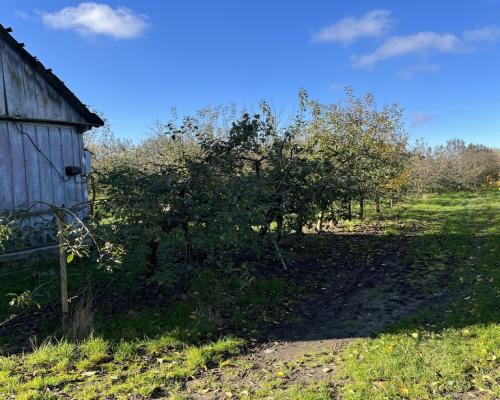 Dom drewniany do remontu na działce w Zakrzowie.