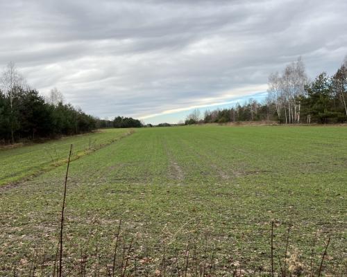 Duża działka inwestycyjna blisko Wisły w Kłudziu.