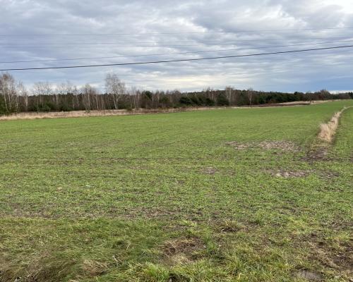 Duża działka inwestycyjna blisko Wisły w Kłudziu.