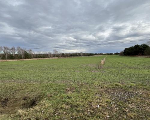 Duża działka inwestycyjna blisko Wisły w Kłudziu.