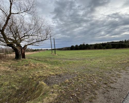 Duża działka inwestycyjna blisko Wisły w Kłudziu.