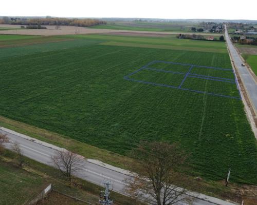 Działka, Zalesie, Wilkołaz, 11 ar, budowlana