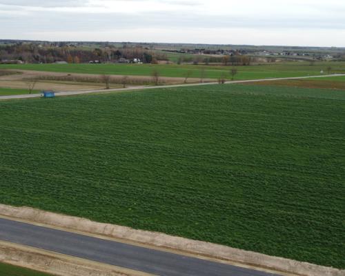 Działka, Zalesie, Wilkołaz, 11 ar, budowlana