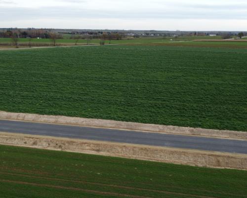 Działka, Zalesie, Wilkołaz, 11 ar, budowlana