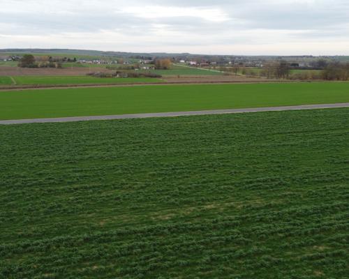 Działka, Zalesie, Wilkołaz, 11 ar, budowlana