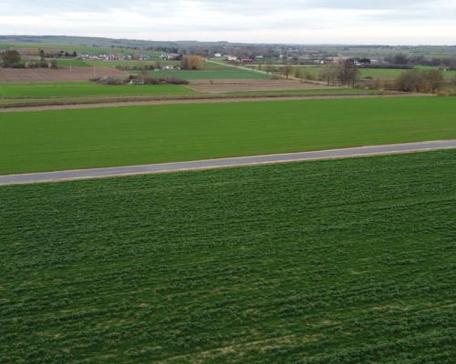 Działka, Zalesie, Wilkołaz, 11 ar, budowlana