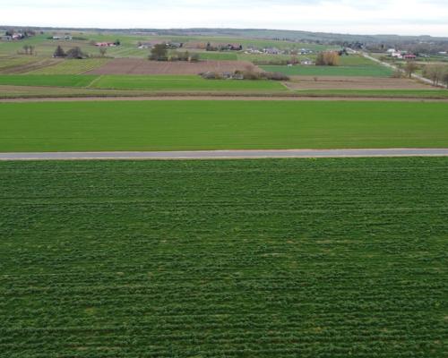 Działka, Zalesie, Wilkołaz, 11 ar, budowlana