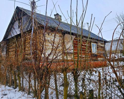 Drewniany dom z dużą działką - pole + sad + las