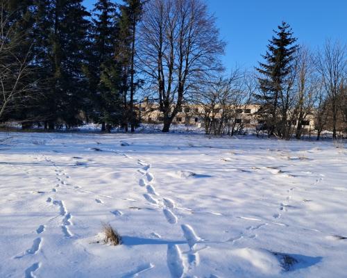 Budynek pod Dom Seniora