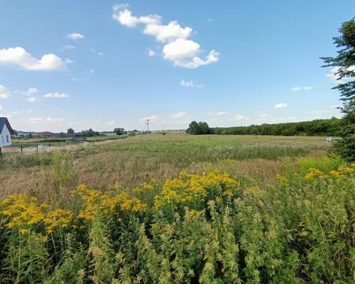 Dwie działki budowlane w Nowodworze gm.  Lubatów.