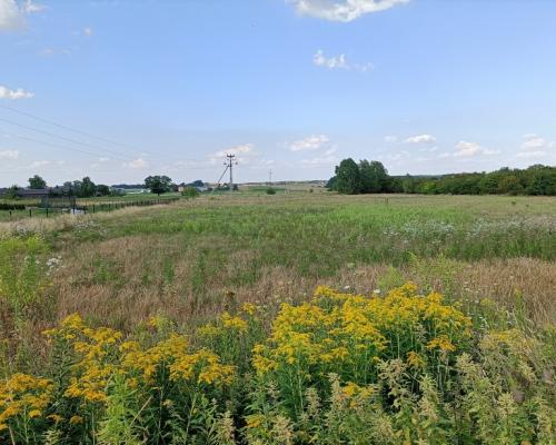 Dwie działki budowlane w Nowodworze gm.  Lubatów.