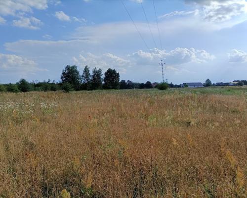 Dwie działki budowlane w Nowodworze gm.  Lubatów.