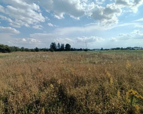 Dwie działki budowlane w Nowodworze gm.  Lubatów.