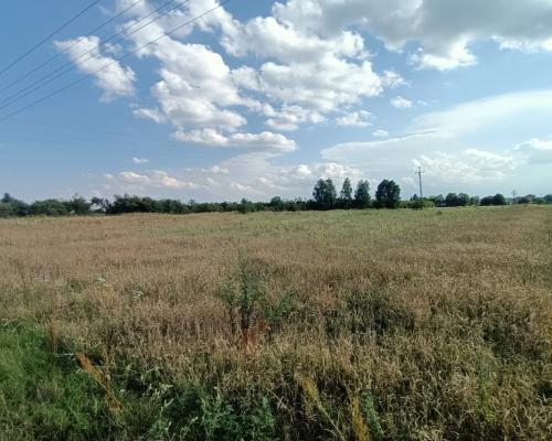 Dwie działki budowlane w Nowodworze gm.  Lubatów.