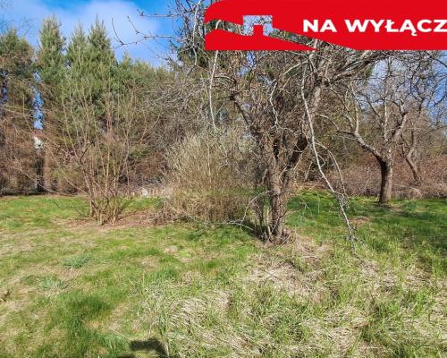 Siedlisko w Sadurkach