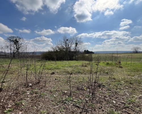 Atrakcyjna działka 2902 m2 w Oblasach-Księżę.