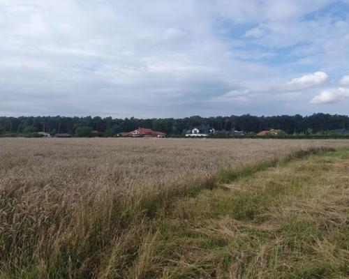 Piękna działka budowlana blisko lasu- 17ar-Świdnik