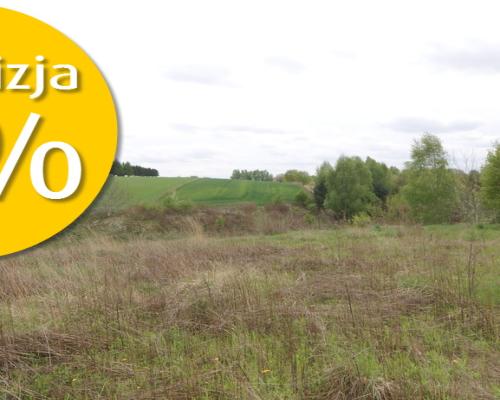 Duża działka rolna ok. 1 ha Jakubowice Konińskie