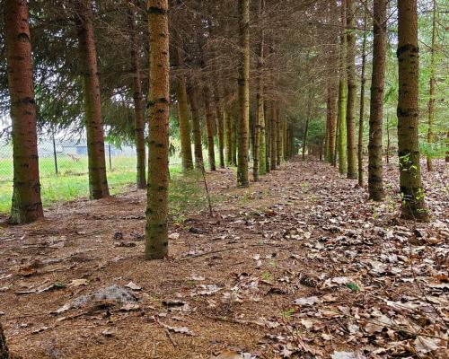 Dąbrowa - dom gotowy do zamieszkania blisko jezior