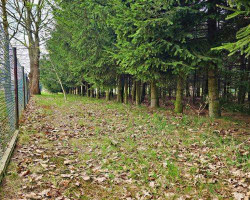 Dąbrowa - dom gotowy do zamieszkania blisko jezior