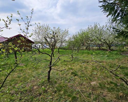 Dąbrowa - dom gotowy do zamieszkania blisko jezior