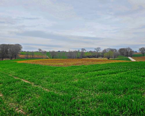 Działka na wzgórzu z niepowtarzalnymi widokami